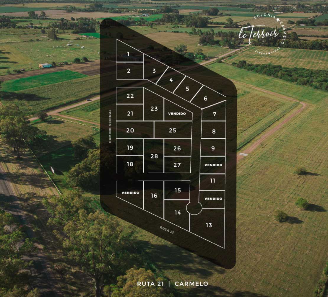 Plano